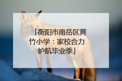 衡阳市南岳区黄竹小学：家校合力护航毕业季