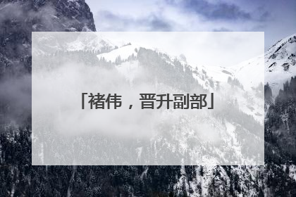 褚伟，晋升副部