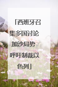 西班牙召集多国讨论加沙局势 呼吁制裁以色列