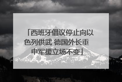 西班牙倡议停止向以色列供武 德国外长重申军援立场不变