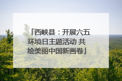 西峡县：开展六五环境日主题活动 共绘美丽中国新画卷