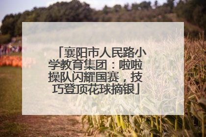 襄阳市人民路小学教育集团：啦啦操队闪耀国赛，技巧登顶花球摘银