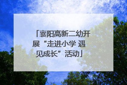 襄阳高新二幼开展“走进小学 遇见成长”活动