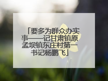 要多为群众办实事——记甘肃镇原孟坝镇东庄村第一书记杨鹏飞