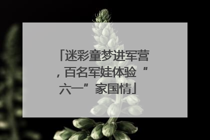 迷彩童梦进军营，百名军娃体验“六一”家国情