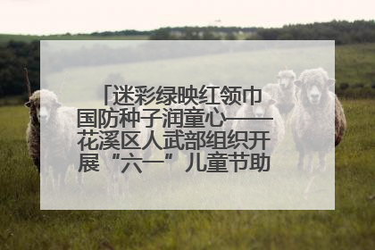 迷彩绿映红领巾 国防种子润童心——花溪区人武部组织开展“六一”儿童节助学兴教活动