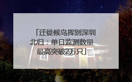 迁徙候鸟挥别深圳北归：单日监测数量最高突破2万只