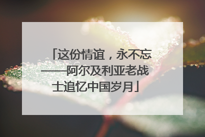 这份情谊，永不忘——阿尔及利亚老战士追忆中国岁月