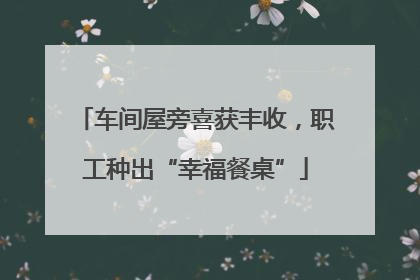 车间屋旁喜获丰收，职工种出“幸福餐桌”