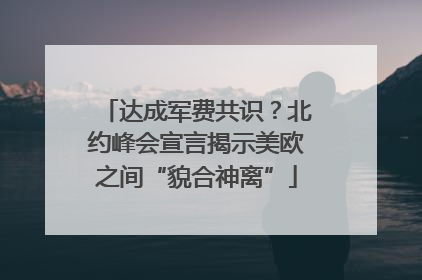 达成军费共识？北约峰会宣言揭示美欧之间“貌合神离”