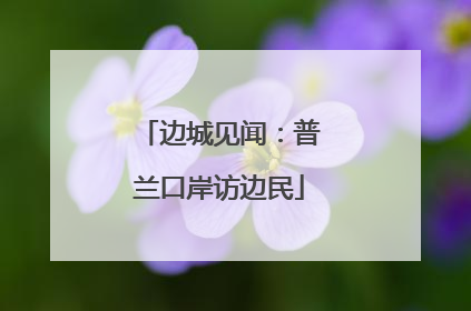 边城见闻：普兰口岸访边民