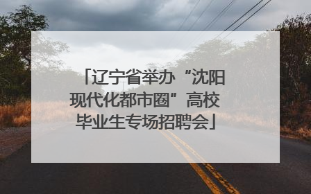辽宁省举办“沈阳现代化都市圈”高校毕业生专场招聘会