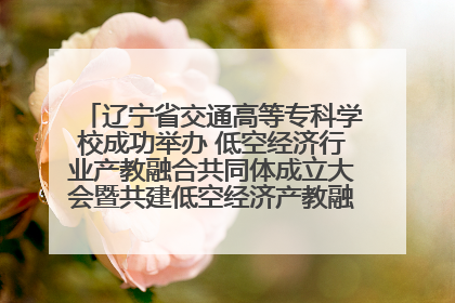 辽宁省交通高等专科学校成功举办 低空经济行业产教融合共同体成立大会暨共建低空经济产教融合新生态论坛