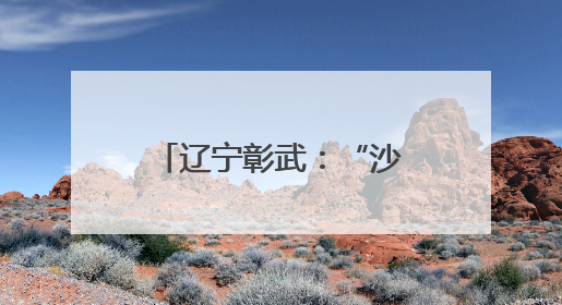 辽宁彰武：“沙窝子”焕新颜