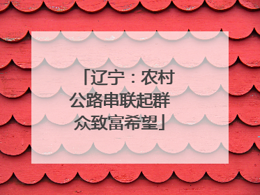 辽宁：农村公路串联起群众致富希望
