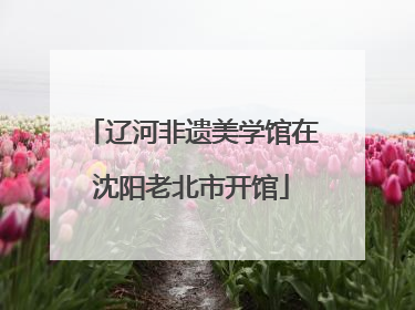 辽河非遗美学馆在沈阳老北市开馆