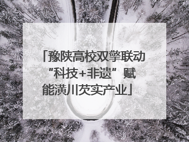 豫陕高校双擎联动 “科技+非遗”赋能潢川芡实产业