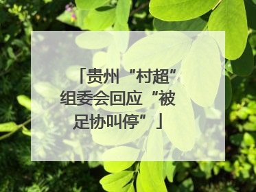 贵州“村超”组委会回应“被足协叫停”