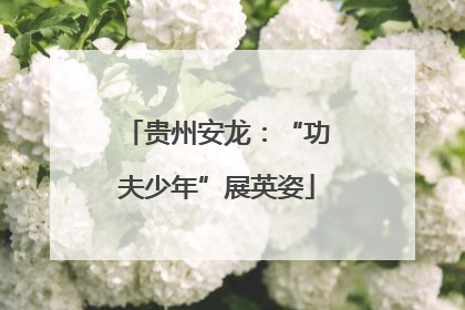 贵州安龙：“功夫少年”展英姿