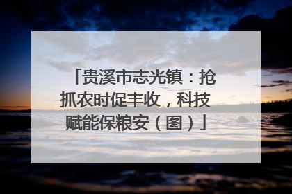 贵溪市志光镇：抢抓农时促丰收，科技赋能保粮安（图）