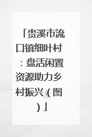 贵溪市流口镇细叶村：盘活闲置资源助力乡村振兴（图）