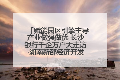 赋能园区引擎主导产业做强做优 长沙银行千企万户大走访·湖南新邵经济开发区专场活动举行