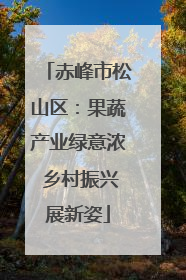 赤峰市松山区：果蔬产业绿意浓 乡村振兴展新姿