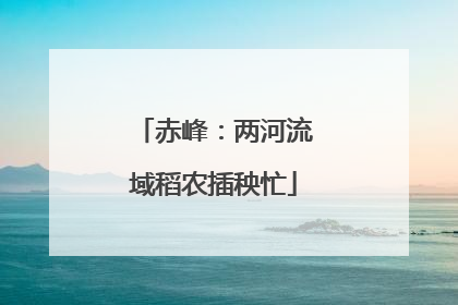 赤峰：两河流域稻农插秧忙