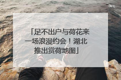 足不出户与荷花来一场浪漫约会！湖北推出赏荷地图