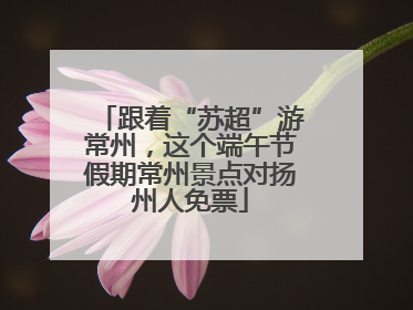 跟着“苏超”游常州，这个端午节假期常州景点对扬州人免票