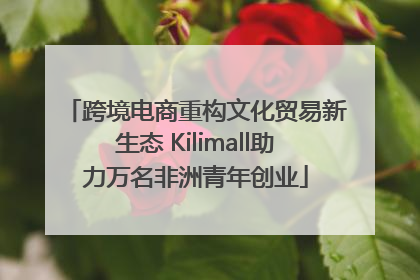 跨境电商重构文化贸易新生态 Kilimall助力万名非洲青年创业