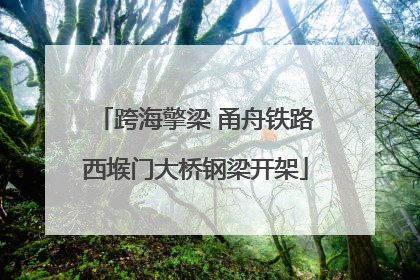跨海擎梁 甬舟铁路西堠门大桥钢梁开架