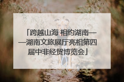 跨越山海 相约湖南——湖南文旅展厅亮相第四届中非经贸博览会