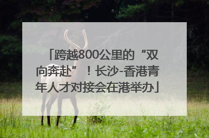 跨越800公里的“双向奔赴”！长沙-香港青年人才对接会在港举办