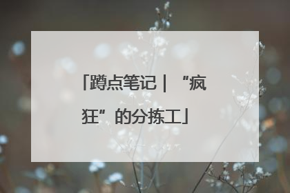 蹲点笔记｜“疯狂”的分拣工