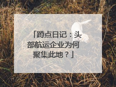 蹲点日记：头部航运企业为何聚集此地？