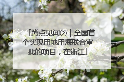 蹲点见闻②｜全国首个实现用地用海联合审批的项目，在浙江