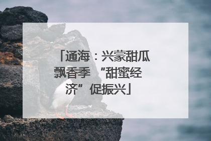 通海：兴蒙甜瓜飘香季 “甜蜜经济”促振兴