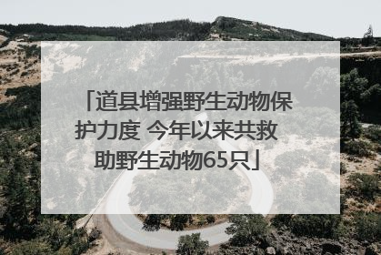 道县增强野生动物保护力度 今年以来共救助野生动物65只