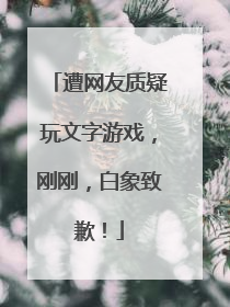 遭网友质疑玩文字游戏，刚刚，白象致歉！
