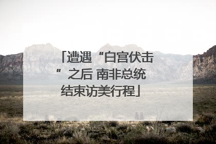 遭遇“白宫伏击”之后 南非总统结束访美行程