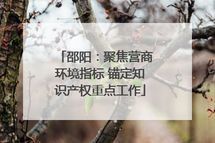 邵阳：聚焦营商环境指标 锚定知识产权重点工作