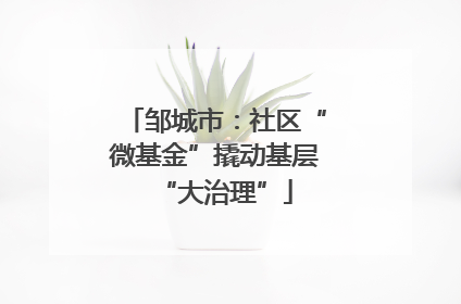 邹城市：社区“微基金”撬动基层“大治理”
