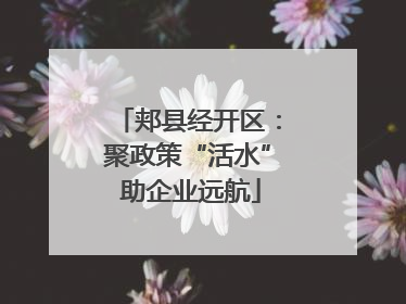 郏县经开区：聚政策“活水” 助企业远航
