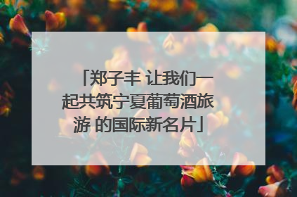 郑子丰 让我们一起共筑宁夏葡萄酒旅游 的国际新名片
