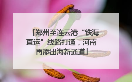 郑州至连云港“铁海直运”线路打通，河南再添出海新通道