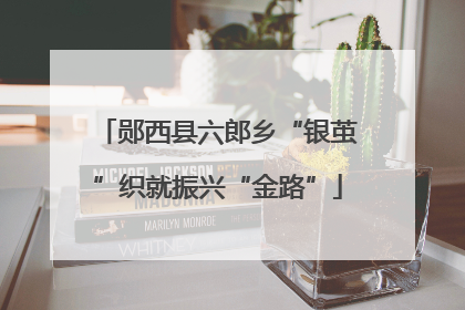郧西县六郎乡“银茧”织就振兴“金路”