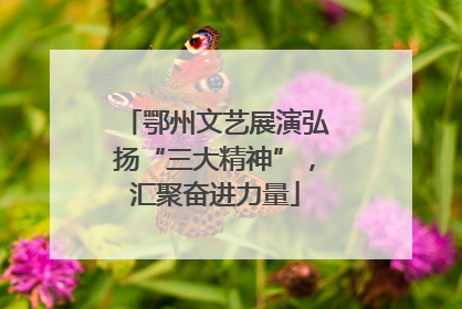 鄂州文艺展演弘扬“三大精神”，汇聚奋进力量