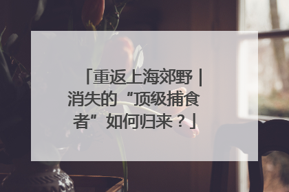 重返上海郊野｜消失的“顶级捕食者”如何归来？