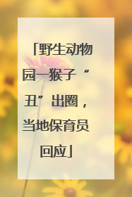 野生动物园一猴子“丑”出圈，当地保育员回应